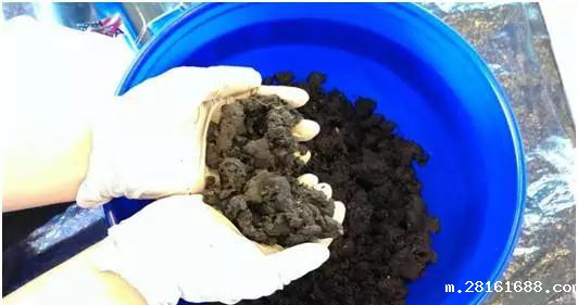 <b>有了这项技术 从污水到原油只需几分钟</b>