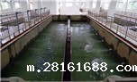 黄陂新武湖水厂净水工程